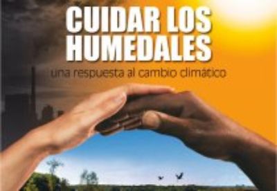 Existe una Estrategia Nacional para la Conservación y Uso Racional de los Humedales en Chile, implementada por CONAF.