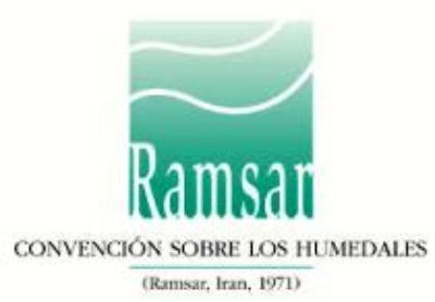 En 1971 en la ciudad de Ramsar, Irán, se realizó la Convención Internacional de Protección a los Humedales.