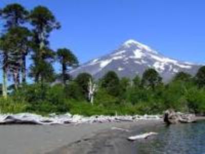 La investigación contempló la revisión exhaustiva del Parque Nacional Pan de Azúcar, Reserva Nacional Altos de Lircay, Parque Nacional Conguillío y Parque Nacional Villarrica.