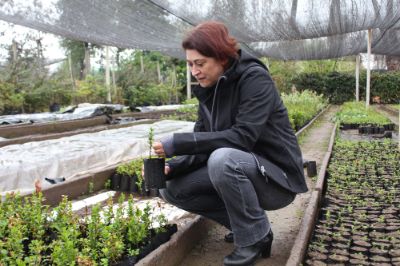 "Personalmente me interesa conocer cómo funcionan las plantas y cómo responden a los cambios del medio ambiente como la sequía, los excesos de temperatura o radiación", Karen Peña.