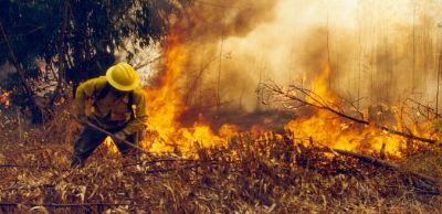 El fenómeno de los incendios en zonas forestales y áreas periurbanas, desde hace tiempo avisaba de una tendencia peligrosa, señala el Dr. Donoso.