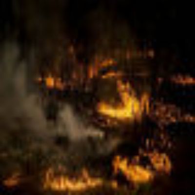 Incendio forestal 2017