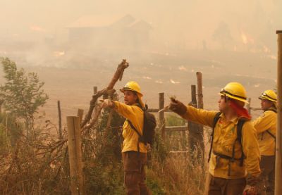 Se constata un alza en la intencionalidad de incendios forestales. Sin embargo, no ha llevado a un alza significativa del número promedio de incendios anuales, sino más bien a su gravedad.