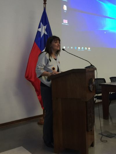 La Directora de Recursos Humanos de la U. de Chile, Fabiola Divin, hizo hincapié en la necesidad de un cambio cultural.