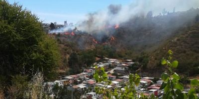 El Incendio forestal amenaza con propagarse a casas en Viña del Mar, ya que el fuego ha avanzado rápidamente a lugares poblados a raíz del viento imperante en la zona.
