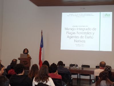 La académica Amanda Huerta abordó el manejo integrado de plagas forestales.