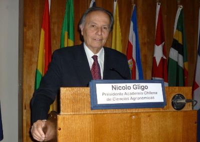 Nicolo Gligo, Director del CAPP.
