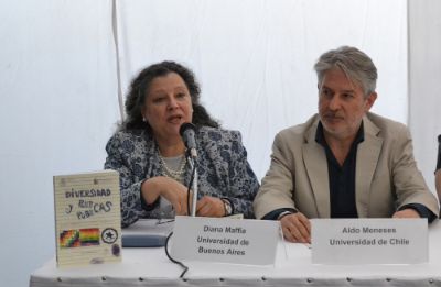 La ex diputada argentina, Diana Maffía, expuso en la presentación.