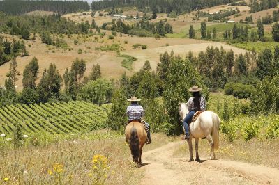 La Región de Ñuble es la región con mayor población en el campo, lo que abre oportunidades no sólo en agricultura sino también en turismo rural.