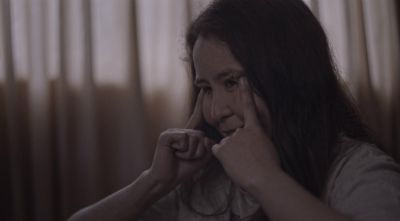"El Verano del León Eléctrico" ha sido premiado en el Festival de Cannes y el Festival de Cine de San Sebastián