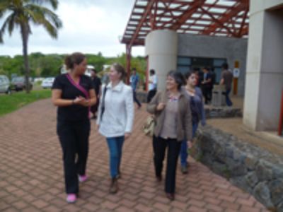 Alianza Educación-Salud Bucal llega a Rapa Nui