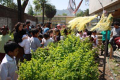 Escolares de Independencia visitan Huerta universitaria