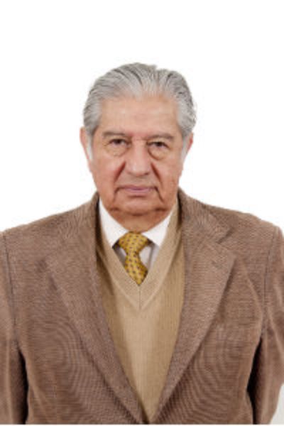 Ramiro Molina Cartes Programa Salud y Comunidad Profesor Titular, Universidad De Chile 