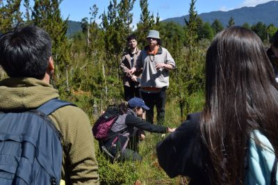 Les estudiantes destacaron las diversidad de bosques existentes en el sector de los Torreones: bosque turbera, bosque cipreces y bosque siempre verde. 