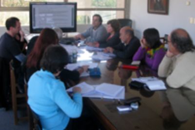 Durante el año 2010 el trabajo se concentra en la elaboración de los Planes de Mejoramiento, para lo cual se han constituido comisiones de trabajo al interior de cada unidad académica.
