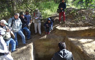 Los investigadores de la FACSO vienen realizando investigaciones en la zona de Los Vilos desde hace 25 años. 