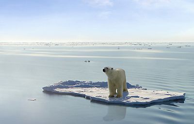 Debido a su naturaleza científica e intergubernamental, el IPCC encarna una oportunidad  única de proporcionar información científica rigurosa y equilibrada para los tomadores de   decisiones a nivel 