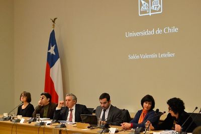 Rectora de U. de Aysén en el Consejo Universitario