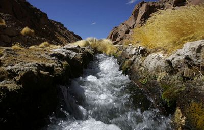 El río Silala nace en el Departamento de Potosí, en Bolivia, y sus aguas escurren hasta encontrarse con el río Loa, en la Región de Antofagasta.