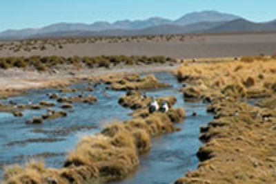 El gobierno chileno asegura que el río Silala fluye naturalmente hacia el Océano Pacífico, y destaca que recién en 1997 Bolivia dejó de considerarlo un río internacional.