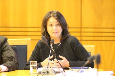 Leonor Armanet, Directora del Departamento de Pregrado de la Universidad de Chile en la sesión. 