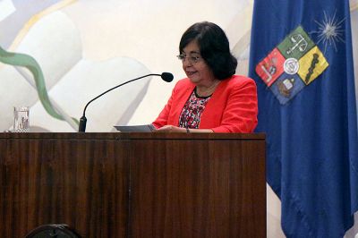 "Estamos confiados de que a futuro el trabajo que realizamos en el CEv, generando estudios y propuestas, será considerado por las autoridades", manifestó la presidenta del Consejo, Cecilia Hidalgo.