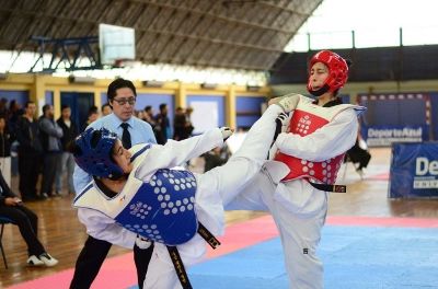 El torneo de Taekwondo, fue organizado en conjunto por la Universidad de Chile y la Universidad Metropolitana de Ciencias de la Educación (UMCE). 
