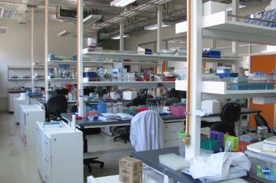 Dependencias del Laboratorio de Estrés Celular y Biomedicina de la Facultad de Medicina de la Universidad de Chile