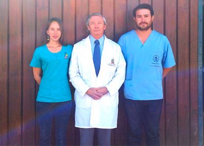Los médicos veterinario Nicole Restovic, Mario Acuña y Christian De La Fuente, liberaron los exitosos tratamientos de rehabilitación de los equinos afectados por los incendios. 