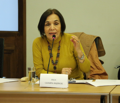 Carmen Andrade, encargada de la Oficina de Igualdad de Oportunidades de Género de la Universidad de Chile.