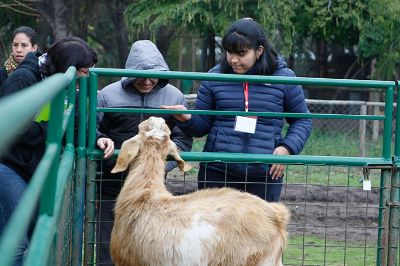 El primer día se organizó que niños y niñas recorriesen Mundo Granja y conocieran los distintos animales que integran este espacio al aire libre ubicado en el Campus Sur de la U. de Chile.