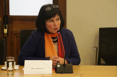 Prof. Roxana Pey, académica de la U. de Chile, ex Rectora de la U. de Aysén.