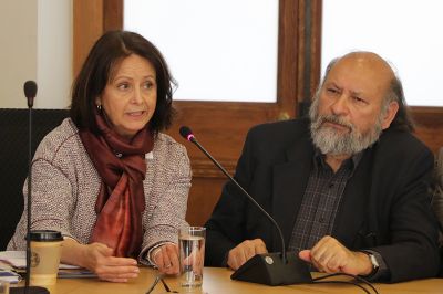 La directora de Pregrado, Leonor Armanet y el Prof. Marcelo Quezada expusieron en el cambio de nombre y de los grados en la carrera de Diseño.