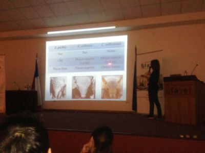 La charla estuvo dirigida a los estudiantes de la Facultad interesados en la conservación de los armadillos en Chile. 