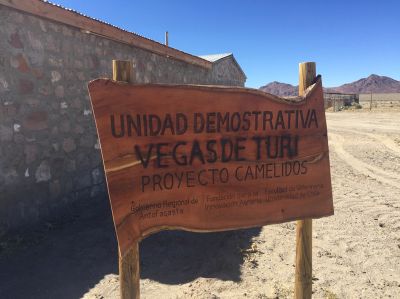 A 80 kilómetros de Calama y 3.020 kilómetros de altura se inauguró la Unidad Experimental y Demostrativa "Vegas de Turi".