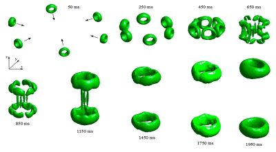 El trabajo del profesor Hernández, titulado "Symmetrical collision of multiple vortex rings" fue publicado recientemente en la prestigiosa revista del área de la Física de Fluidos "Physics of Fluids".