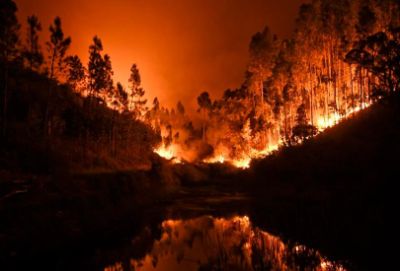 El cambio climático ha contribuido a generar condiciones que favorecen incendios cada vez más destructivos.