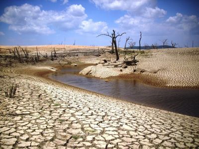 Desde el año 2010 nuestro país sufre una mega sequía que afecta desde la región de Coquimbo hasta la de Los Ríos.