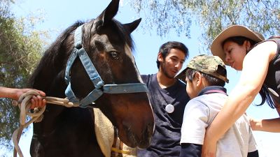 Perros y caballos también son parte de las terapias realizadas por el equipo de este Centro emplazado en Campus Sur.