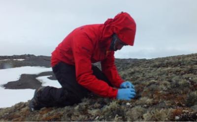 El investigador Francisco Salgado en la recolección de líquenes en territorio antártico.