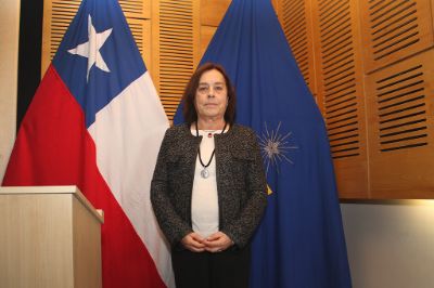 Loreto Rebolledo es periodista y antropóloga, doctora en Historia de América de la Universidad de Barcelona y magíster en Historia con mención en Historia Andina (FLACSO).