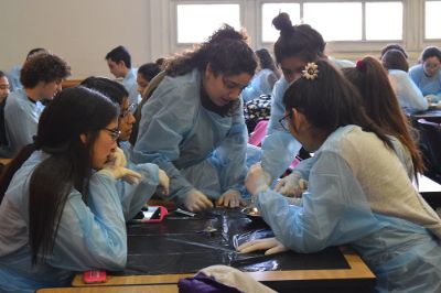 Desde hace 30 años la Universidad de Chile ofrece cursos durante enero para estudiantes de 8º básico a 4º medio en diversas áreas del conocimiento.