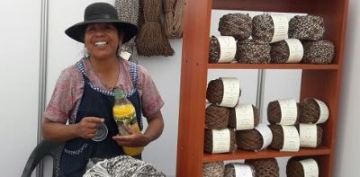 La iniciativa "Casa Telar" busca generar una unidad de negocios en torno al hilado y el textil con el uso de nuevas tecnologías.