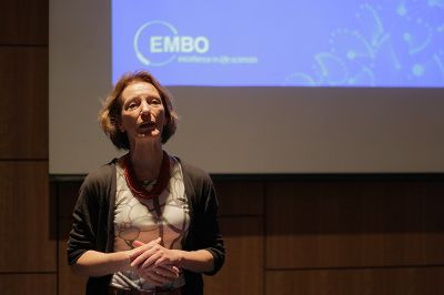 La Directora de EMBO, Maria Leptin, espera que Chile pase a ser observador a miembro después de los primeros 3 años.