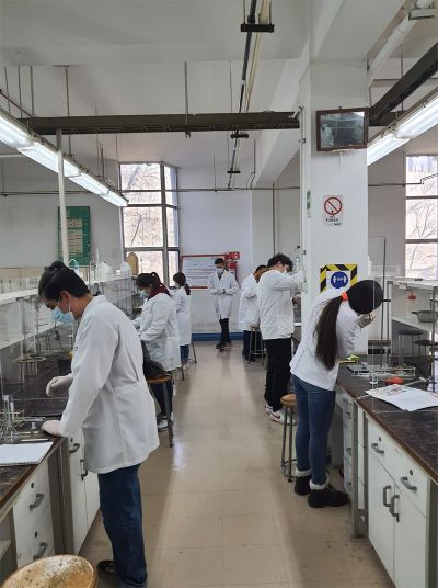 Estudiantes de la Facultad de Ciencias Químicas y Farmacéuticas en su trabajo de laboratorio.