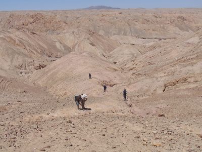 El descubrimiento, realizado en pleno Desierto de Atacama, se suma a otros fósiles de la fauna marina que habitó el lugar hace unos 160 millones de años, como pliosaurios y plesiosaurios.
