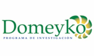 El logotipo ganador del Concurso Marca Gráfica Programa de Investigación Domeyko, diseñado por Josefa López.