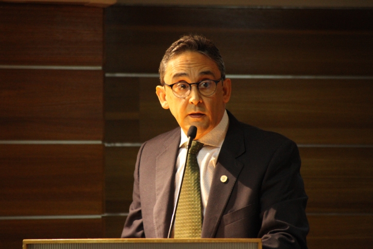 El profesor Miguel Castillo durante su exposición.