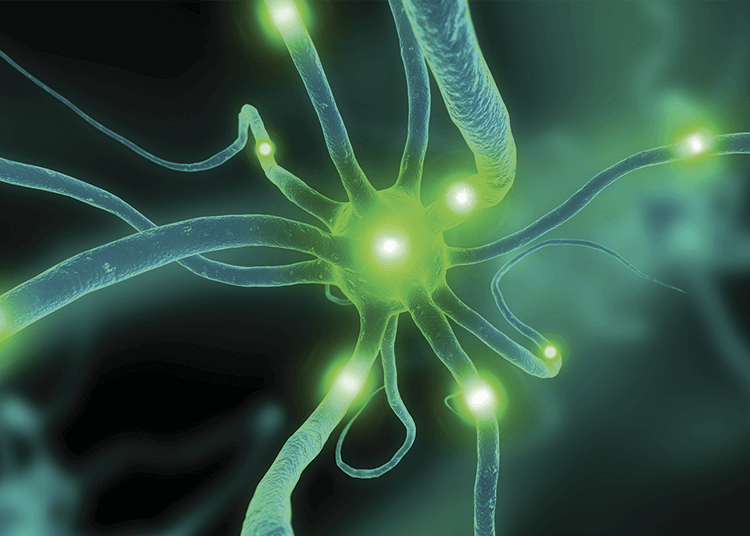 Centros e institutos de Biomedicina