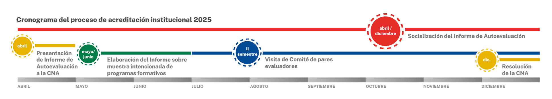 Cronograma del proceso de acreditación institucional 2025